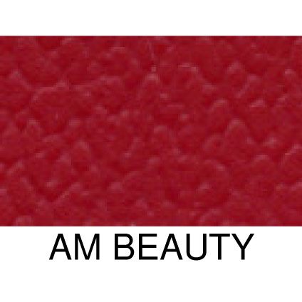 AM beauty - Standard Color option- soft vinyl