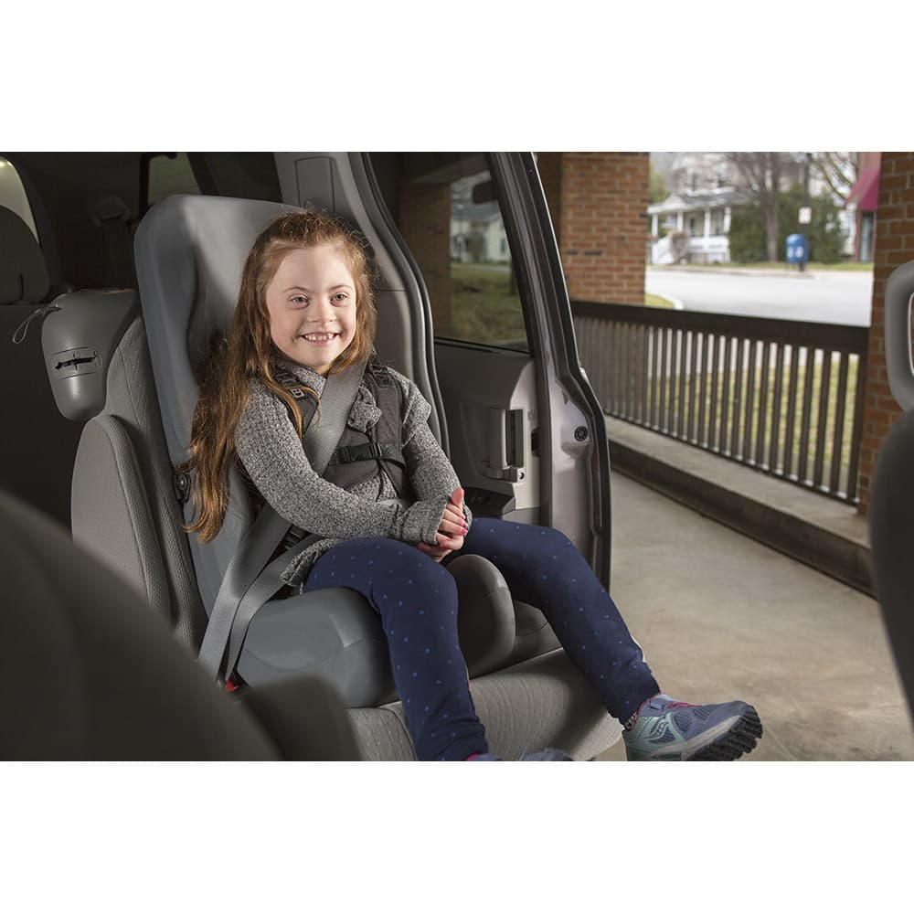 Special Tomato Soft-Touch Booster Car Seat - Image 2