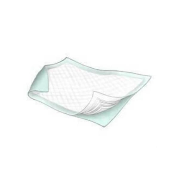 Economy Disposable Underpad, 23 x 36 Inch - Bag of 25 - Image 1