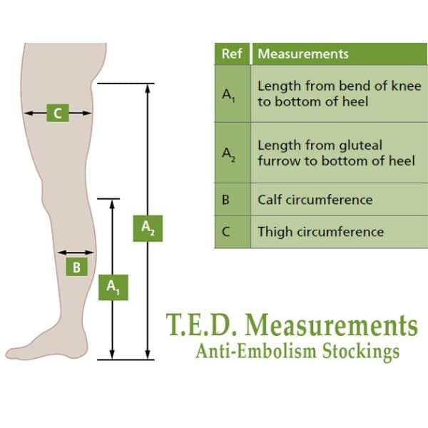 Cardinal T.E.D Thigh-High Anti-Embolism Stockings For Acute Care, Latex-Free - Image 2