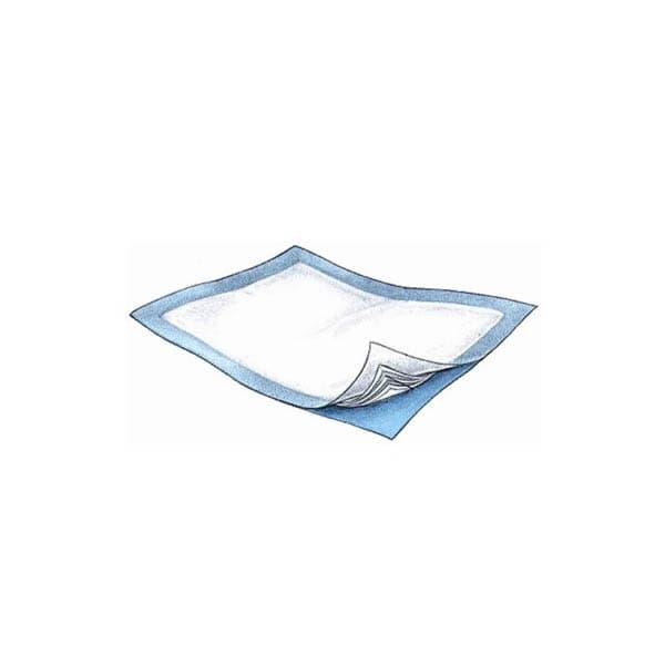 Passport Disposable Underpad, 30 x 36 Inch - Bag of 10 - Image 1