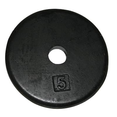 CanDo Iron Disc Weight Plate, 5 Lbs. - Image 1