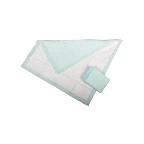 Economy Disposable Underpad, 17 x 23 Inch - Case of 300 - Image 1