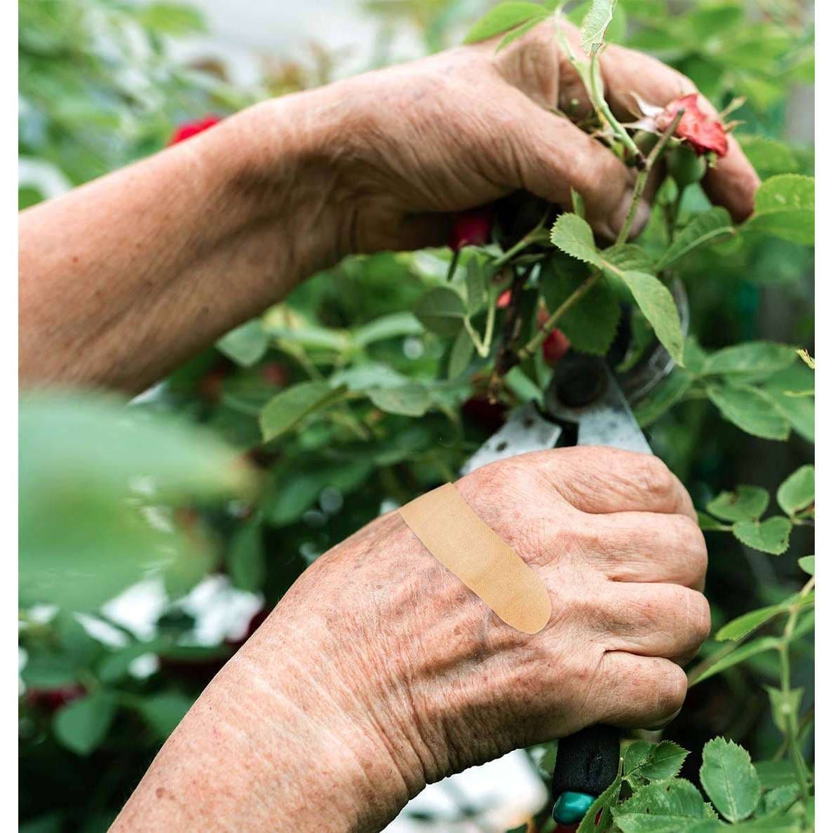 Nutricare Patch On The Go Sample Pack Adhesive Strip - Image 2