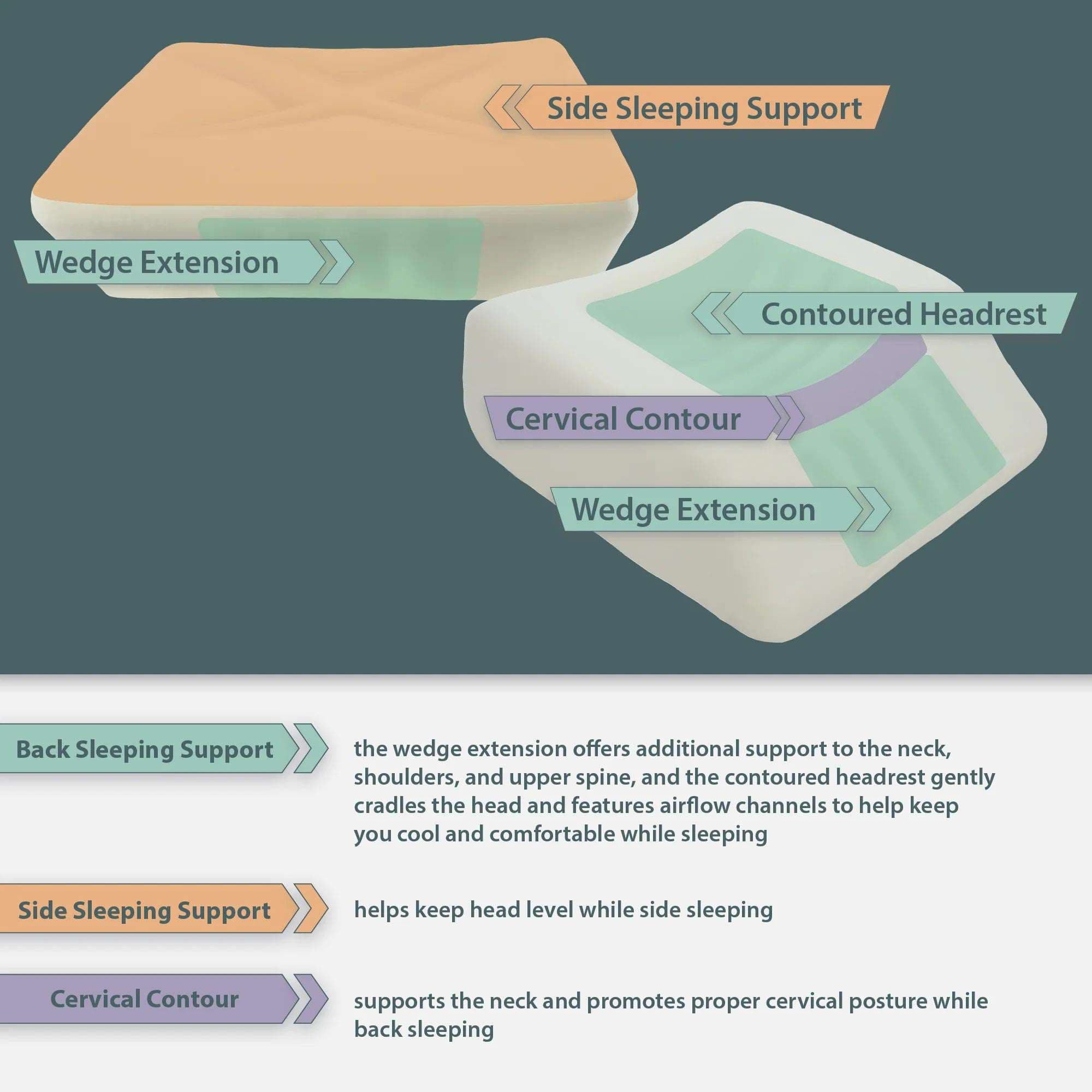 Therapeutica Travel Sleeping Pillow - Image 2