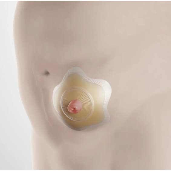 SenSura Mio Click Convex Flip Barrier, Cut-to-fit - Image 2