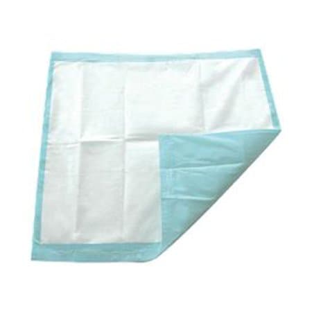 TotalDry Disposable Underpad, 30 x 36 Inch - Case of 120 - Image 1