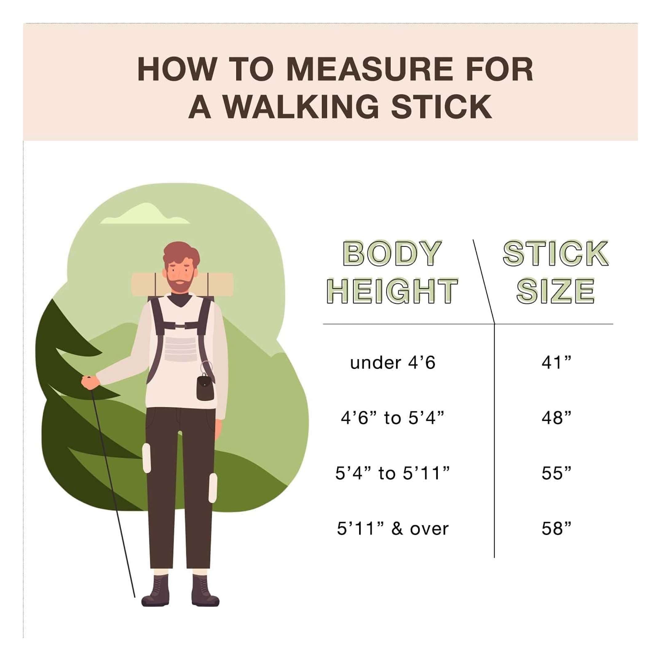 Brazos Twisted Hickory Rustic Walking Stick - Image 3