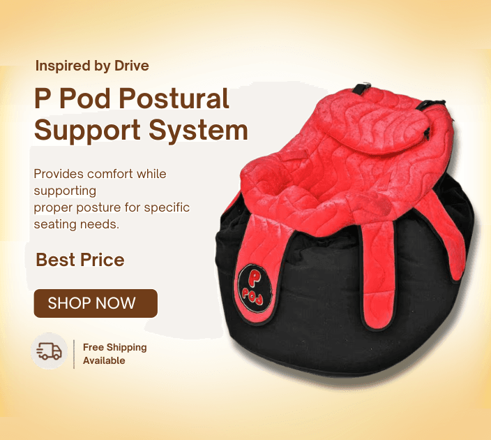 Inspired by Drive P Pod Postural Support System