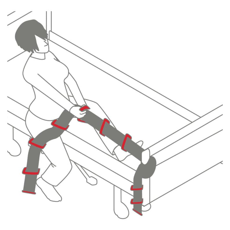 Alpha Bed Ladder - Image 2