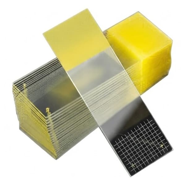 Colorfrost Plus Charged Microscope Slide, Yellow Frosted End, 25 x 75 x 1 mm - Package of 144 - Image 1