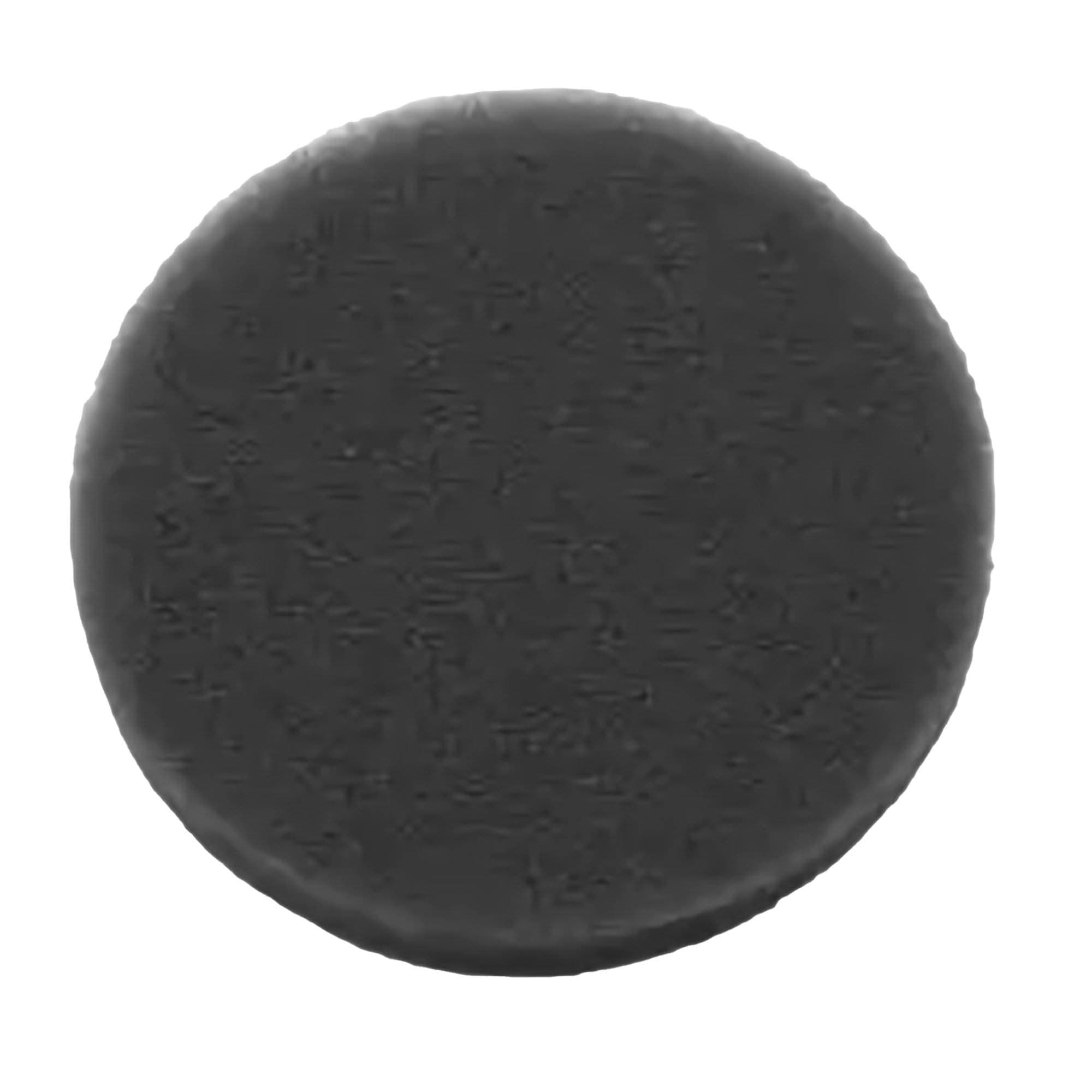 Respironics Air Inlet Foam Filter for Trilogy Evo Ventilator, Black - Each - Image 1