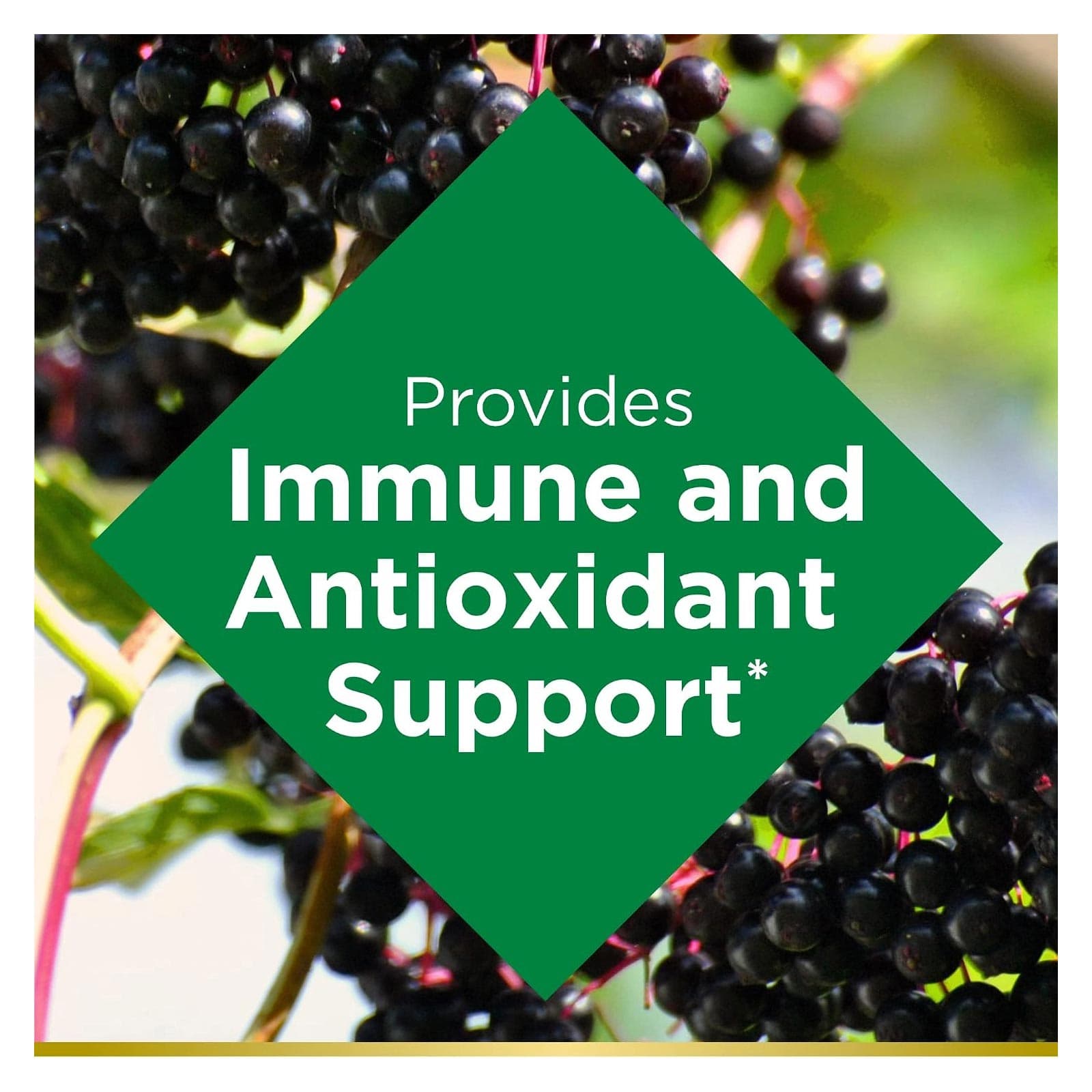 Nature's Bounty Elderberry Gummies - Bottle of 40 - Image 3