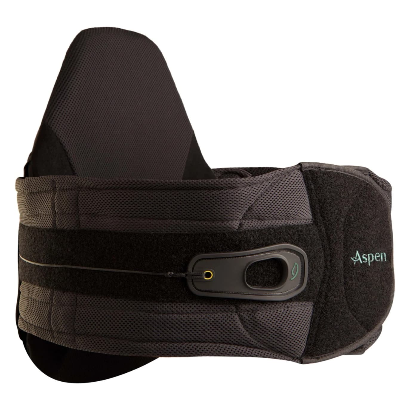 Aspen Horizon 637 LSO Adjustable Brace - Each - Image 3