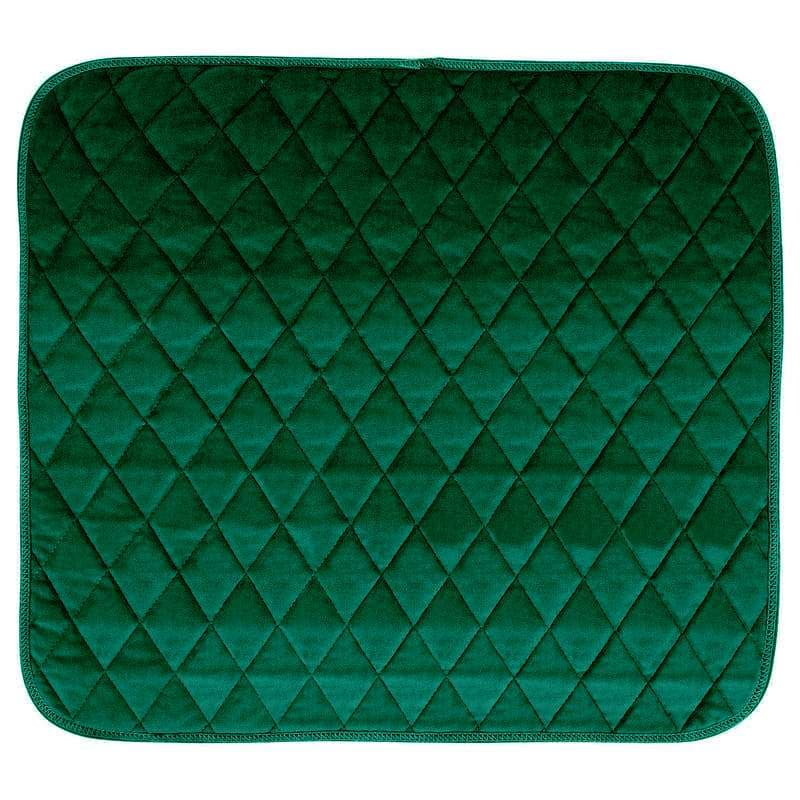 Cardinal Health Essentials Reusable Chair Pad, 21 x 22 Inch, Green - Image 1
