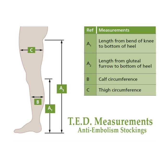 T.E.D. Knee-High Anti-Embolism Stockings For Continuing Care - Image 5