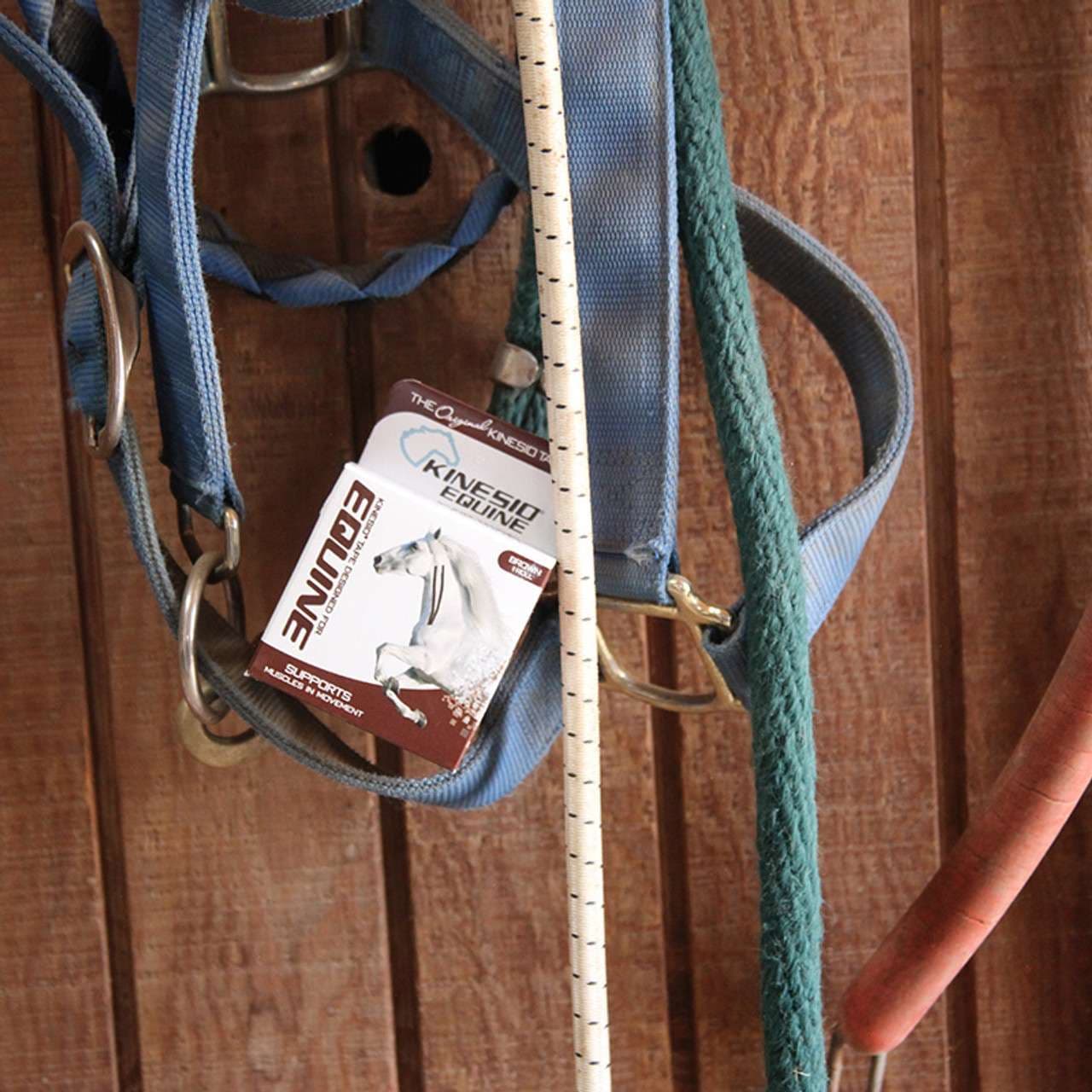 Kinesio Equine Tex Classic Tape - Image 7