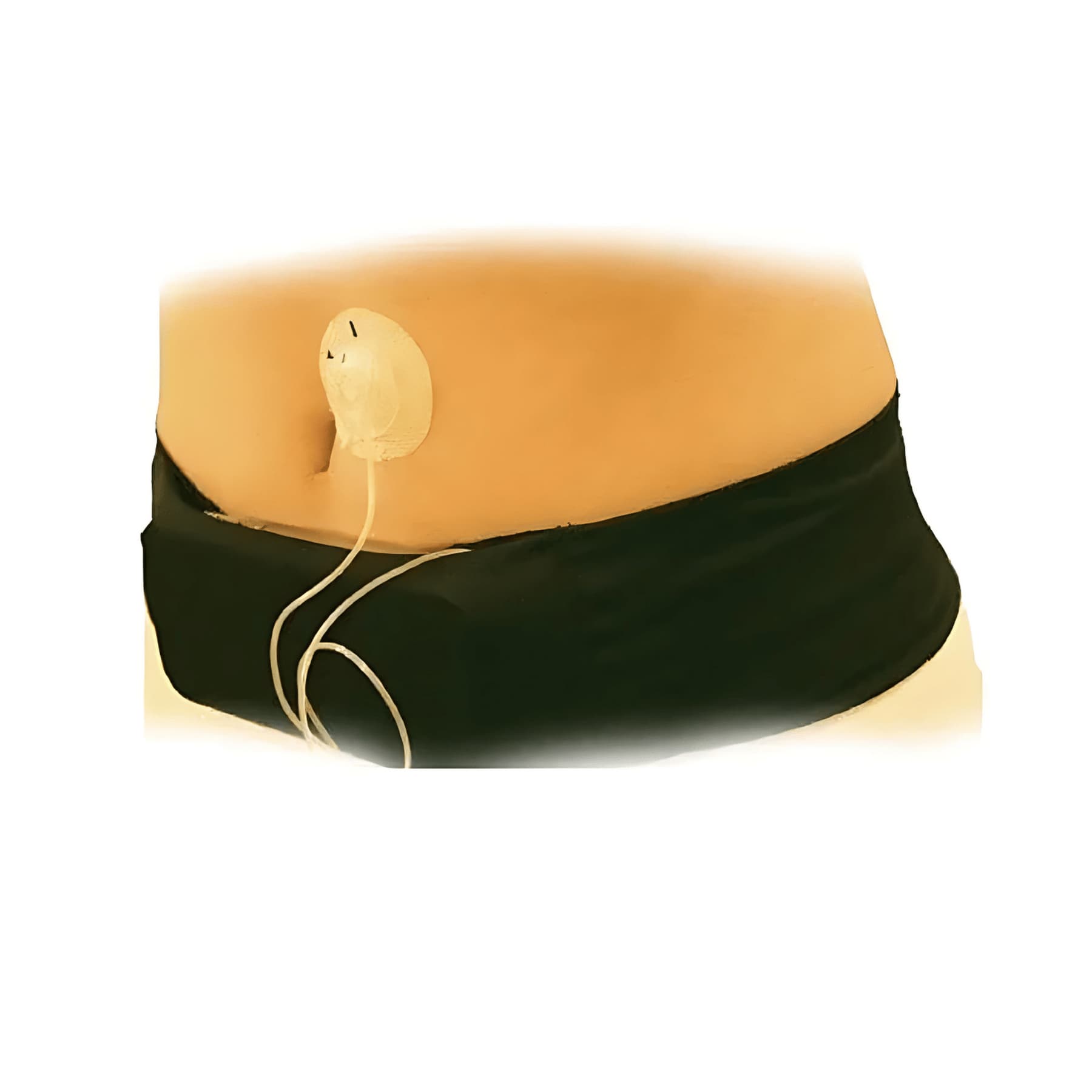 Medicool Medi-Belt Insulin Pump Carrying Belt, Large - Image 1