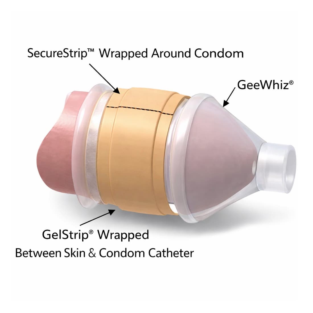 GeeWhiz Male External Catheter with Integral Collection Pouch - Image 3