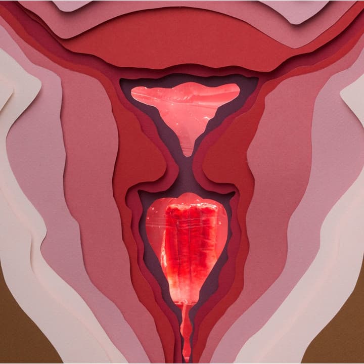 The Honey Pot Company Organic Cotton Core Tampons - Image 7