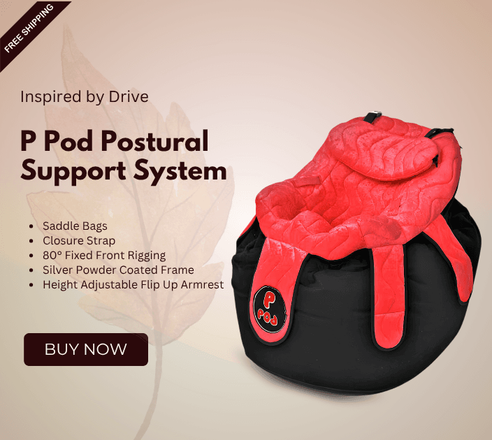 Inspired by Drive P Pod Postural Support System