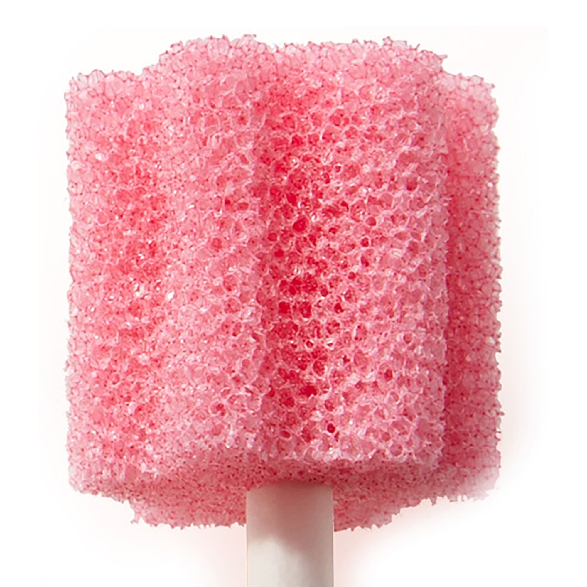 Sage Products Toothette Untreated Disposable Oral Swabs - Image 4