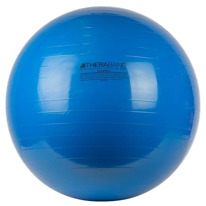 TheraBand Standard Exercise Ball, 30 Inches, Blue - Image 1