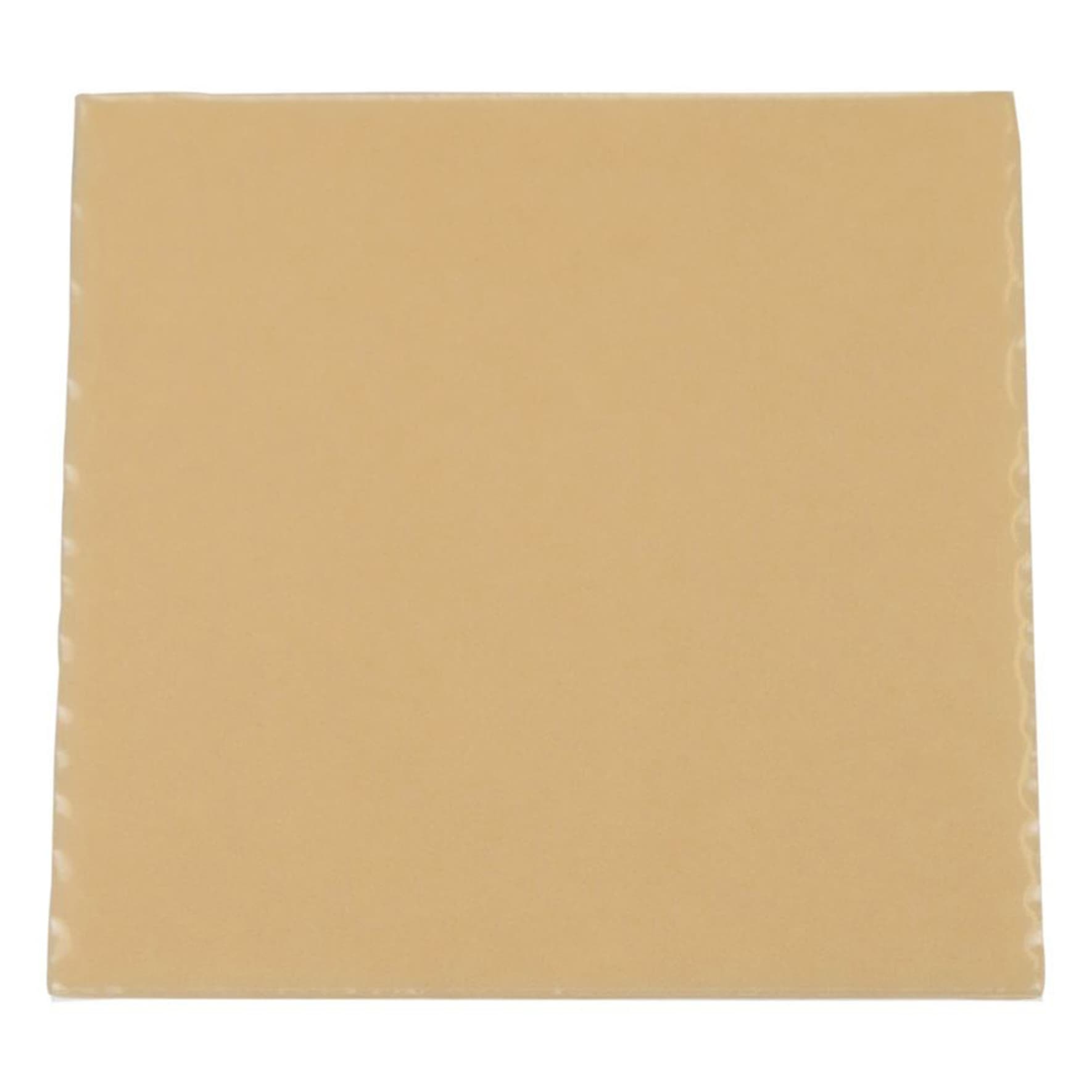 Hollister Premium Skin Barrier Wafer - Image 1
