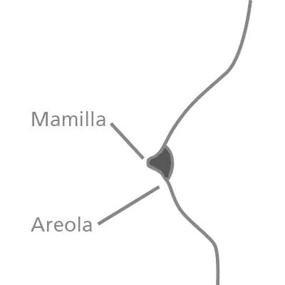 Mamivac Silicone Reusable Nipple Shield - Image 7