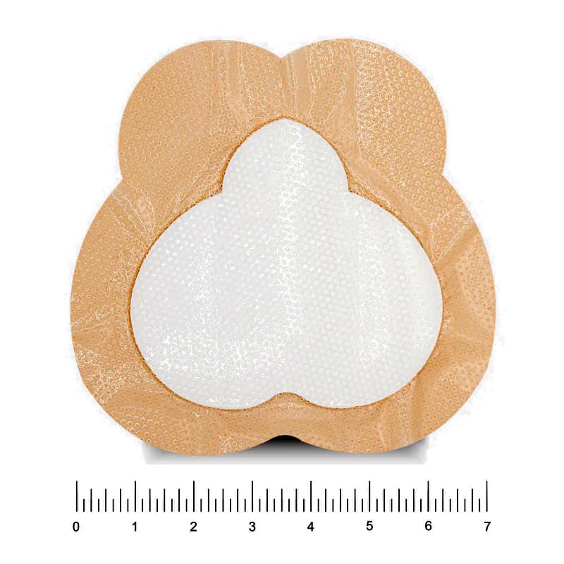 Cellera Vitale Sacral Silicone Foam Dressings, 7 Inch x 6.75 Inch - Image 1