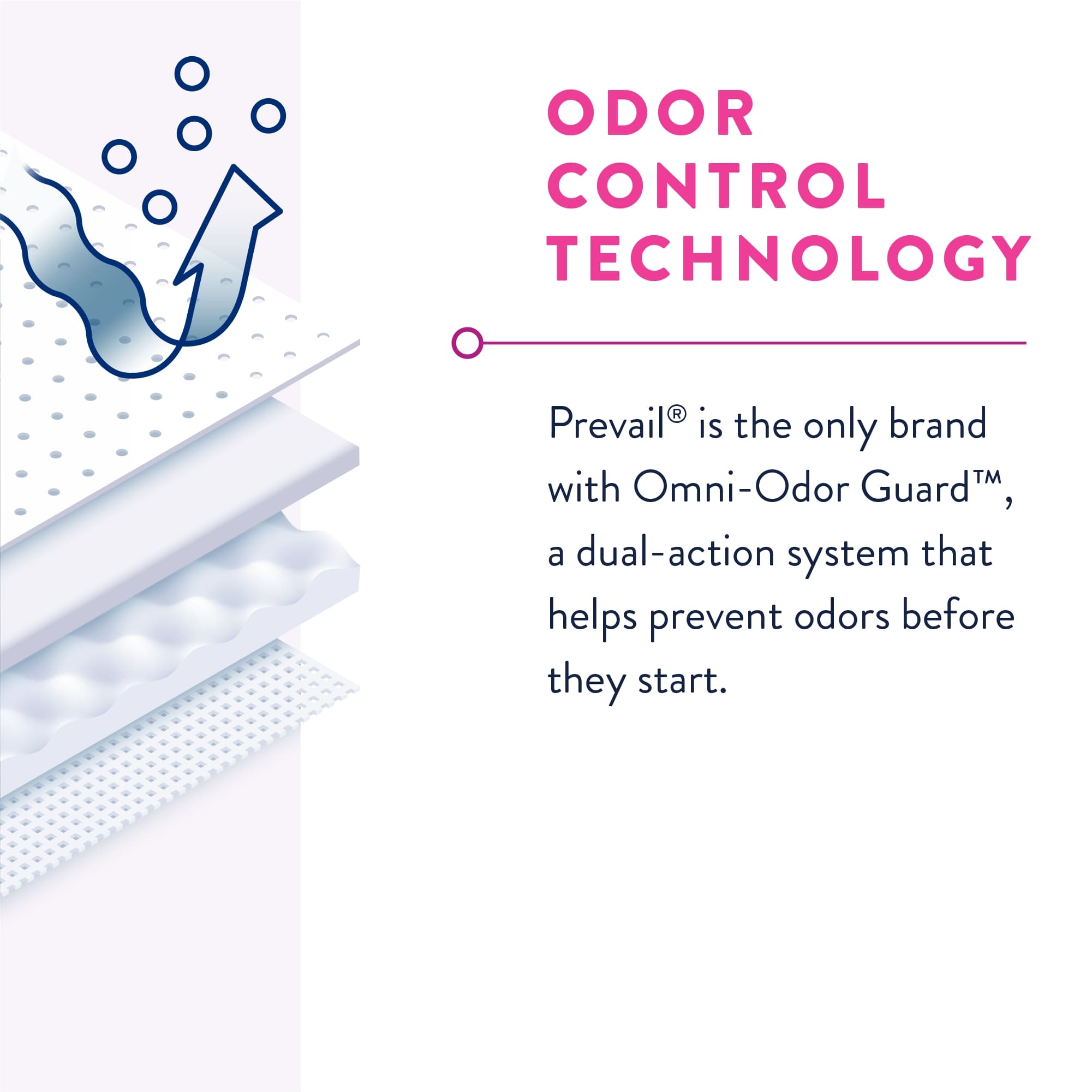 Prevail Daily Absorbent Underwear for Women - Image 5