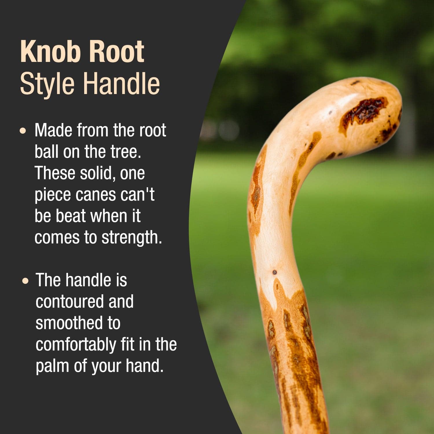 Brazos Assorted Hardwood Knob Root Rustic Walking Cane, 37" - Image 3