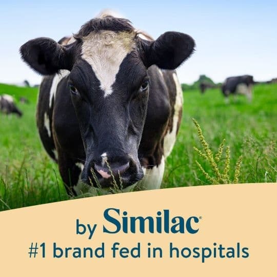 Pure Bliss by Similac Irish Farms Infant Formula, Powder - Image 9