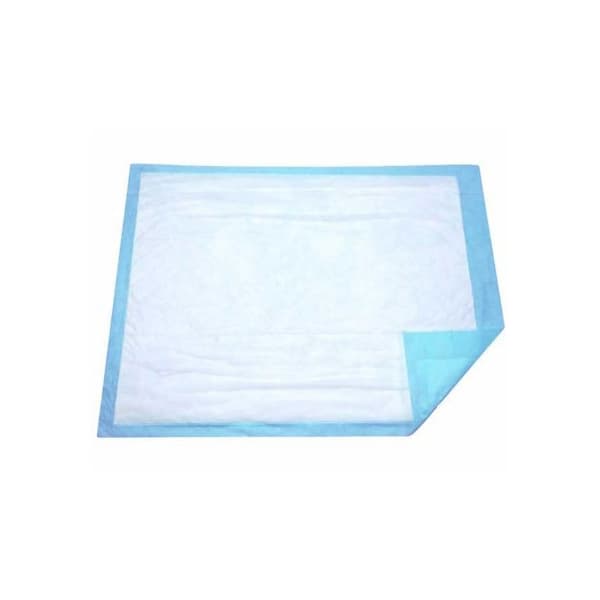 Dukal Disposable Underpad, 17 x 24 Inch - Case of 300 - Image 1