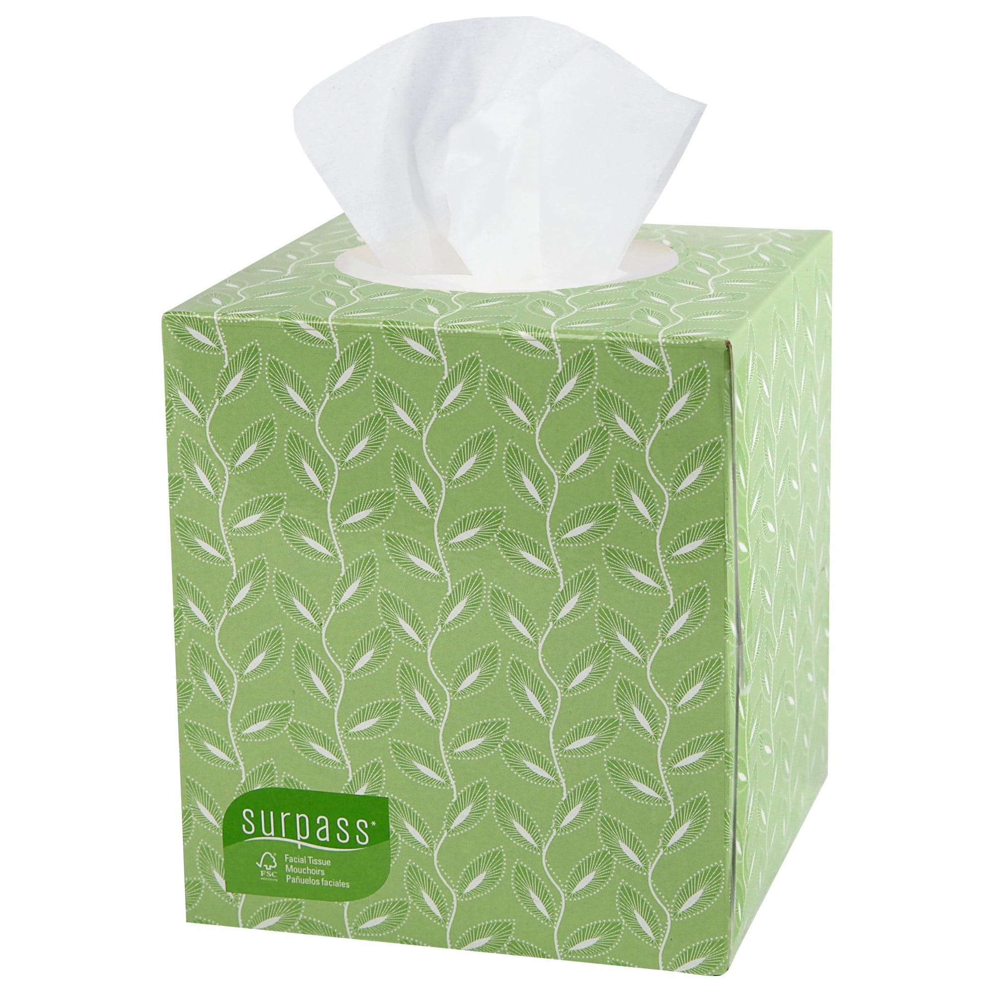 Surpass Boutique 2-Ply Facial Tissue - Box of 110 - Image 1