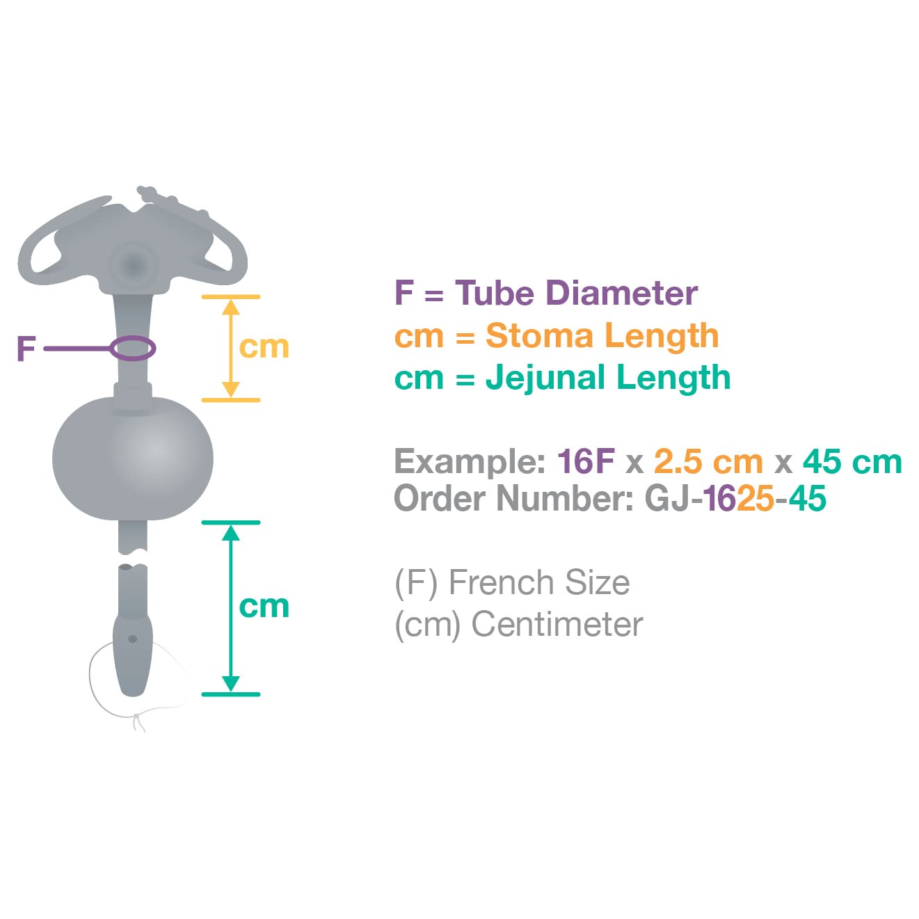 AMT G-JET Low Profile Gastric-Jejunal Feeding Tube - Image 5