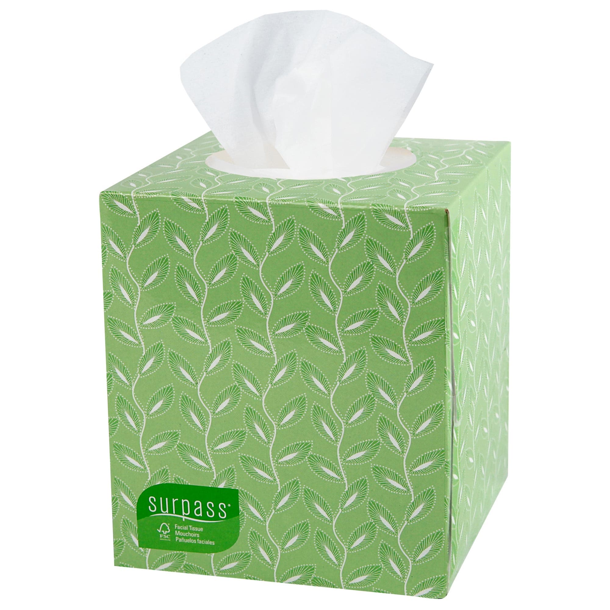 Surpass Boutique 2-Ply Facial Tissue - Case of 3960 - Image 1