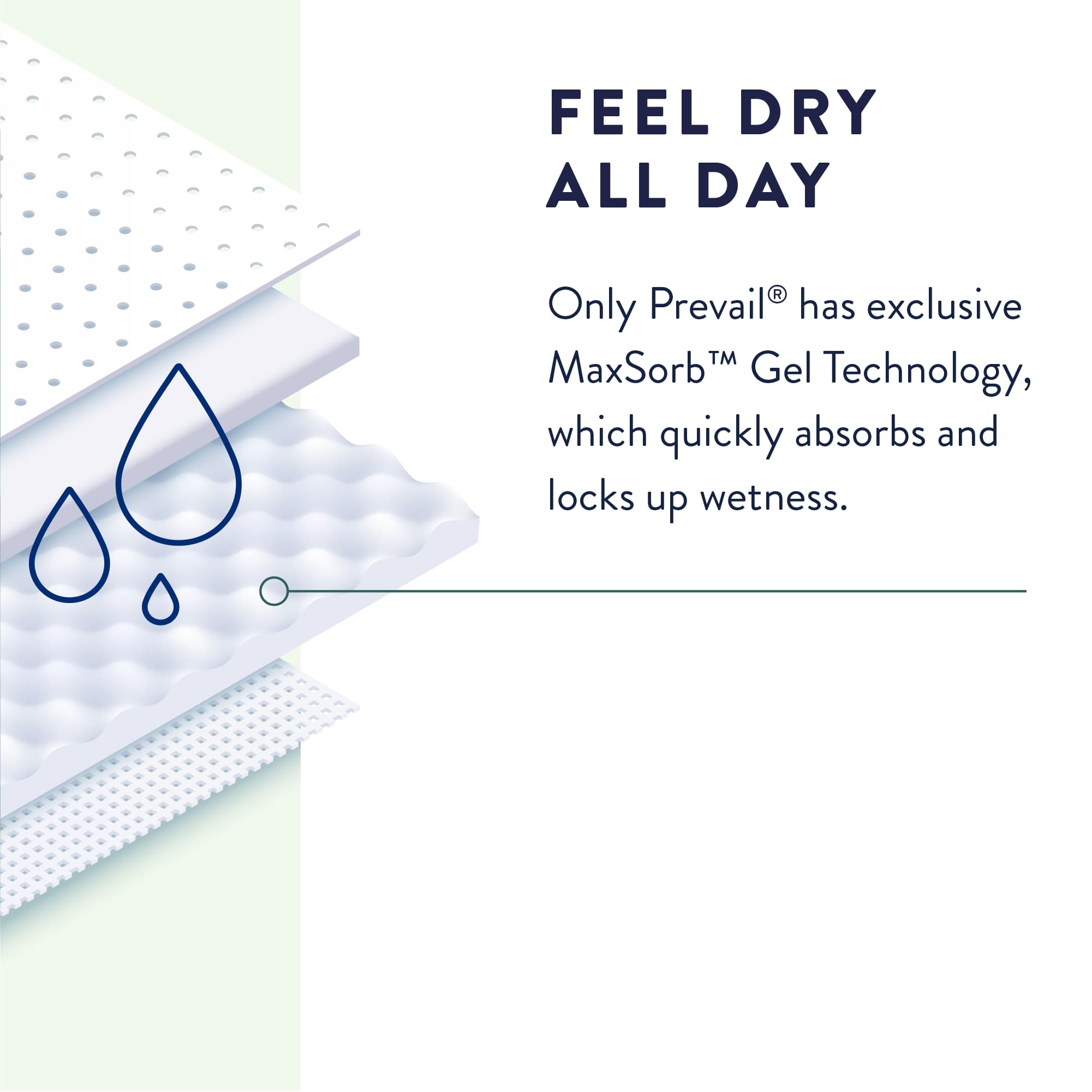 Prevail Maximum Unisex Daily Briefs - Image 4