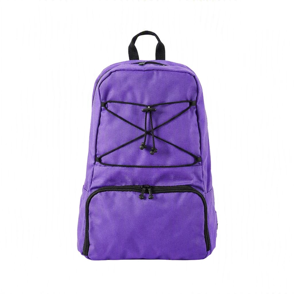 Kangaroo OMNI Feeding Pump Backpack, Small, Purple - Each - Image 1