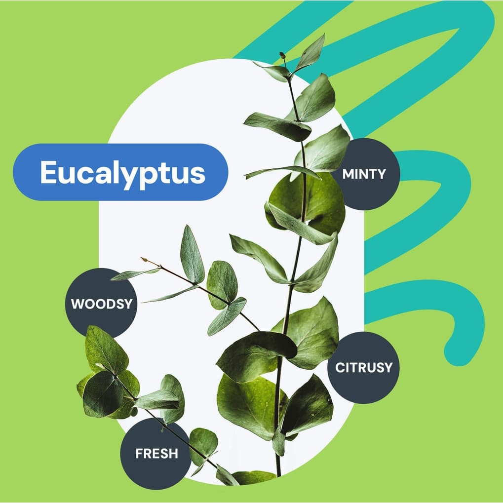 Revel It's In The Bag Lubricating Deodorant, 8 oz - Image 6