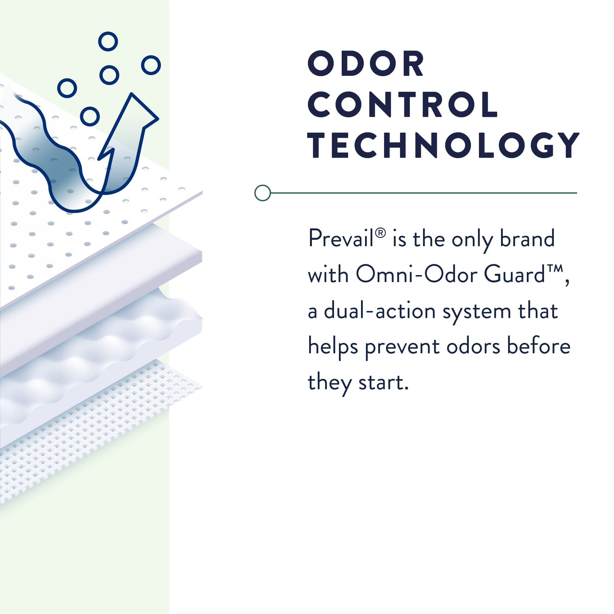 Prevail Overnight Heavy Absorbent Adult Underwear - Image 4