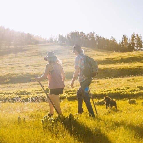 Mabis Brazos Twisted Oak Fitness Handcrafted Walking Stick - Image 8