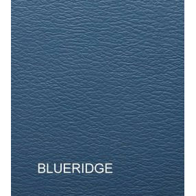 Blue Ridge - Vinyl