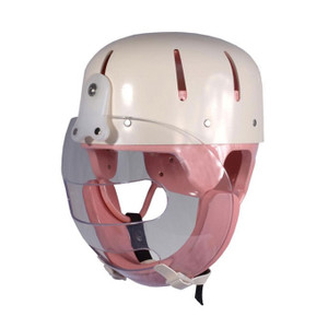 Danmar Hard Shell Helmet With Faceguard | Danmar Products (9822-Bu)